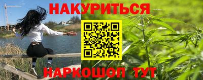 прущие крисы Кимры