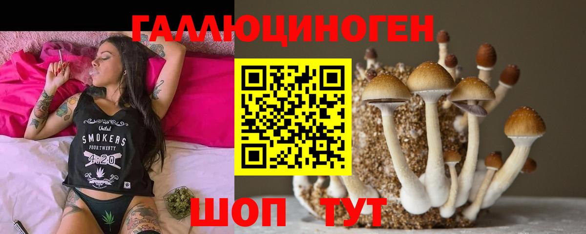 Кыштым  Вход с VPN  Мефедрон  Магазин наркотиков  КОКАИН  ЭКСТАЗИ  Бошки Шишки  ГАШИШ  МЕФ кристаллы  APVP СОЛЬ  