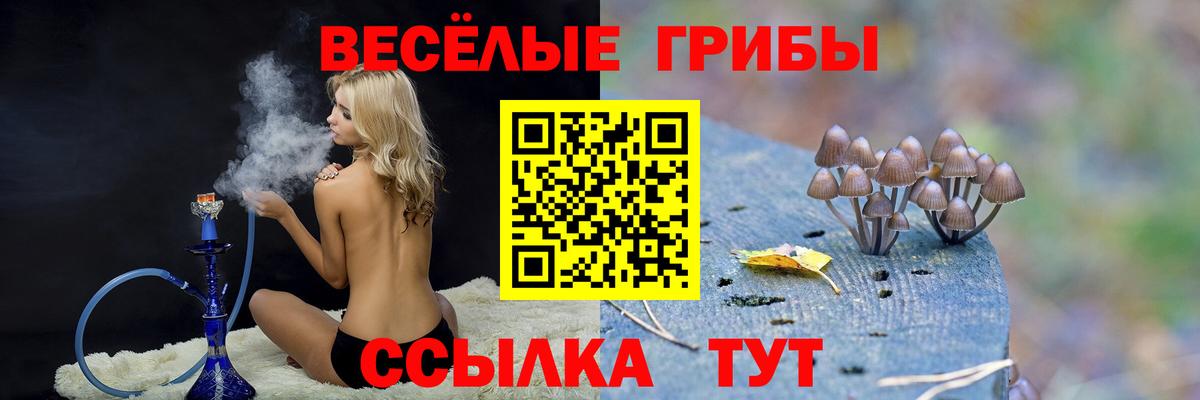 Галлюциногенные грибы прущие грибы  Вход с VPN  купить   Кыштым 